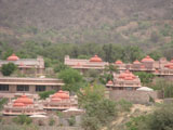 Tree of Life Jaipur