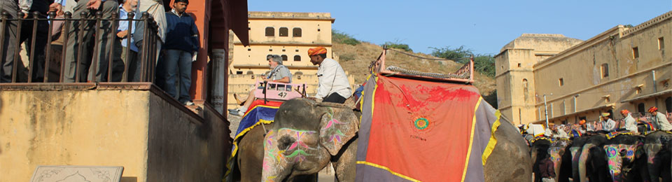 Elephant Ride Amer Fort Jaipur